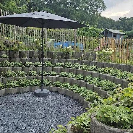 Schöne Große In Bedburg-hau Apartment Hau