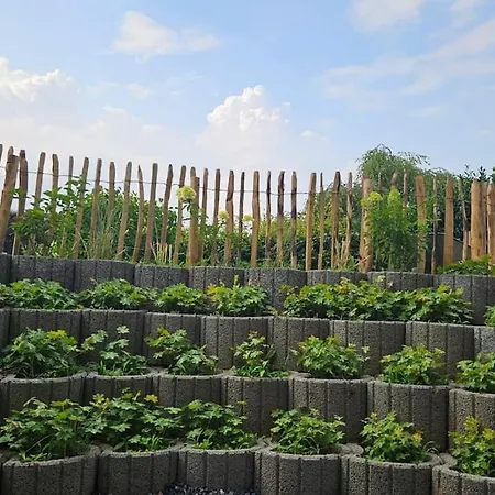 Schöne Große In Bedburg-hau Hau