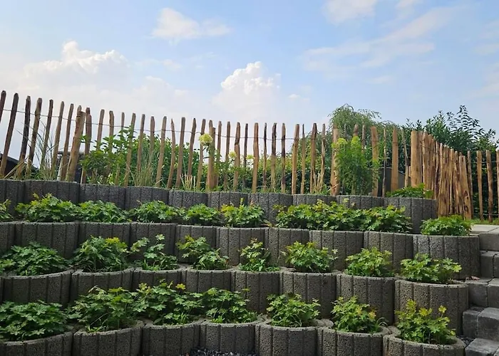 Schoene Grosse In Bedburg-hau Hau